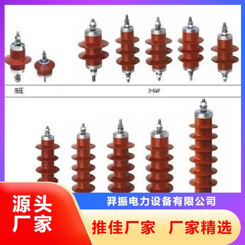 避雷器Y10W5-108/281W浙江羿振電氣有限公司