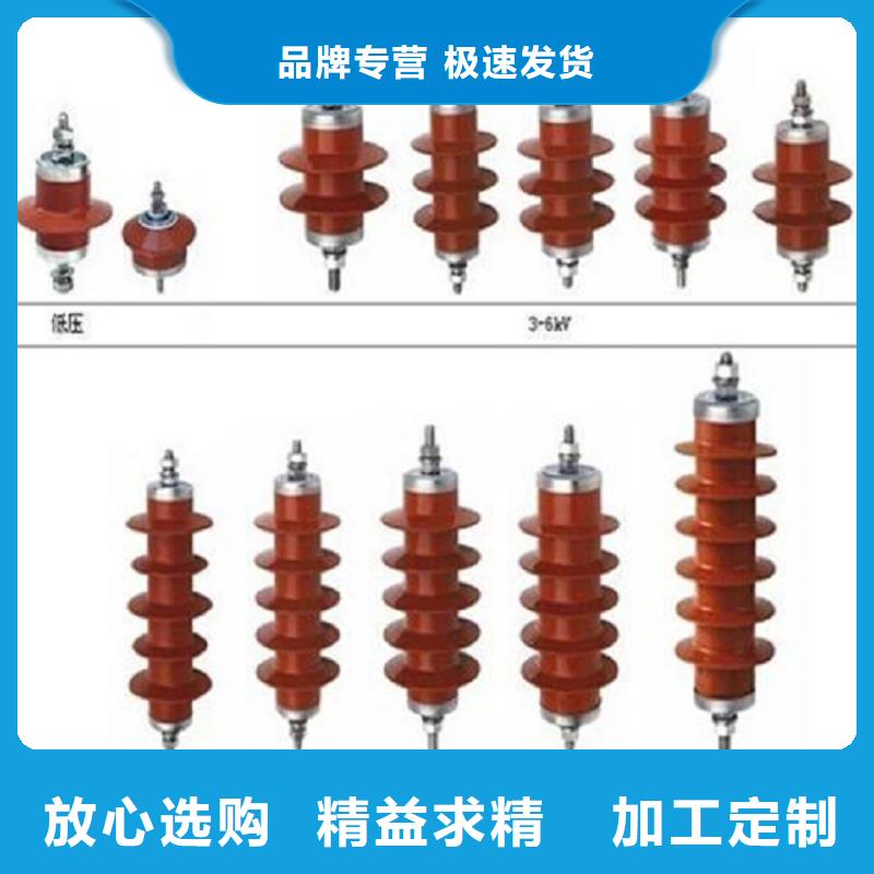 避雷器Y10W-200/496