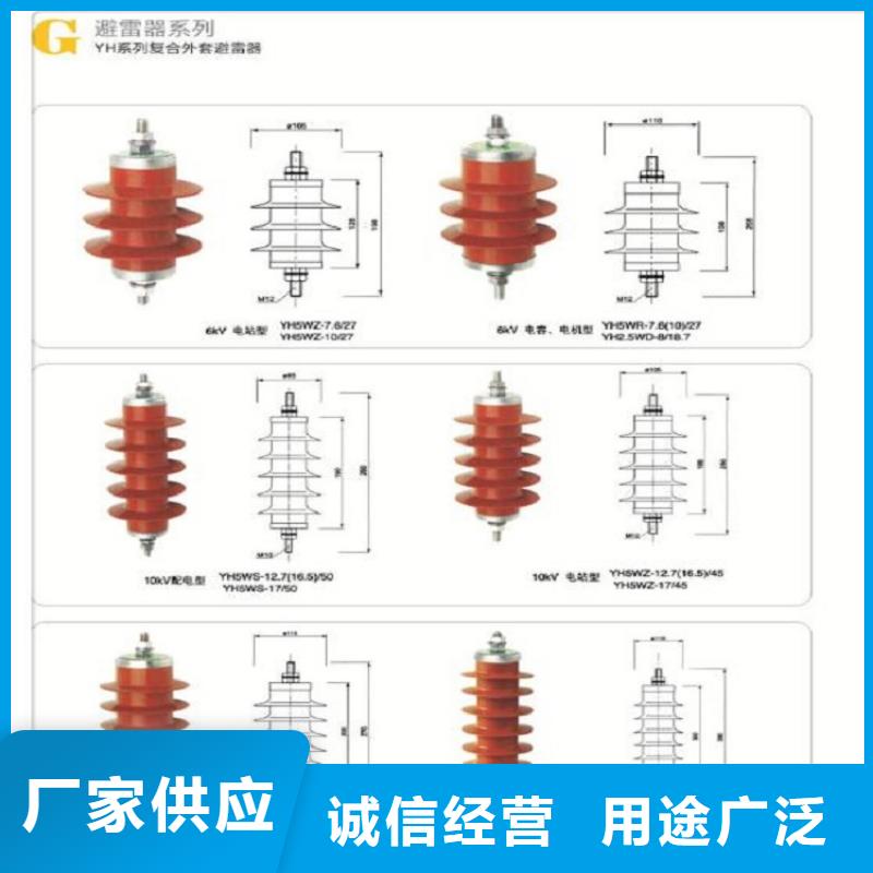 避雷器YH10WX-96/250TD上海羿振電力設備有限公司