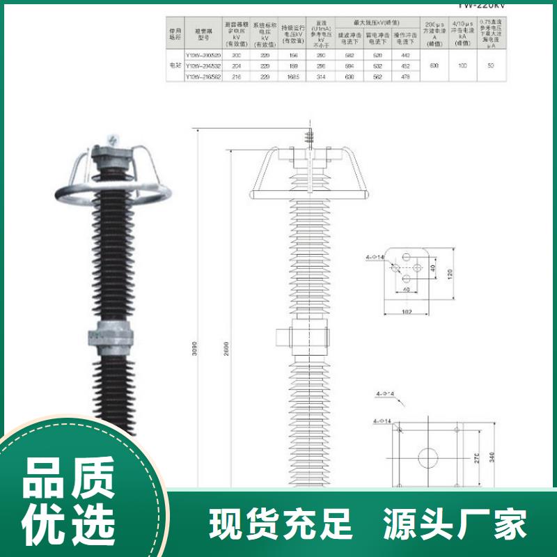 避雷器Y10W5-192/500GY【羿振電氣】