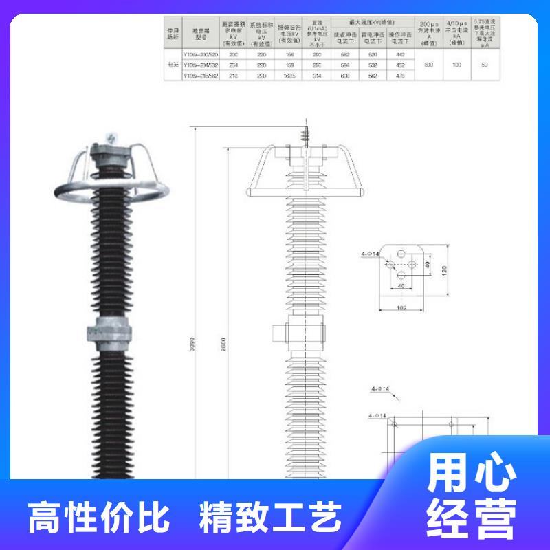 避雷器Y10W-108/281