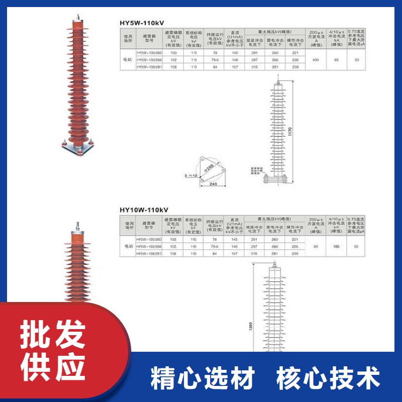 金屬氧化物避雷器Y10W-200/496浙江羿振電氣有限公司