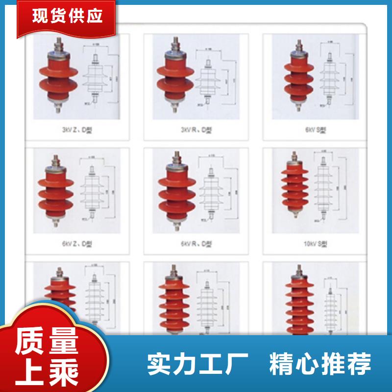 氧化鋅避雷器Y10W5-116/302GY