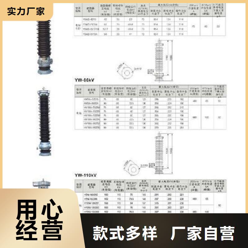 復合外套氧化鋅避雷器HY5W5-17/50