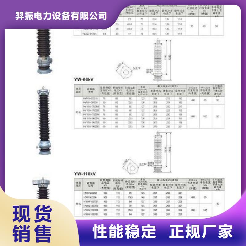 【羿振電氣】避雷器Y10W-216/562W