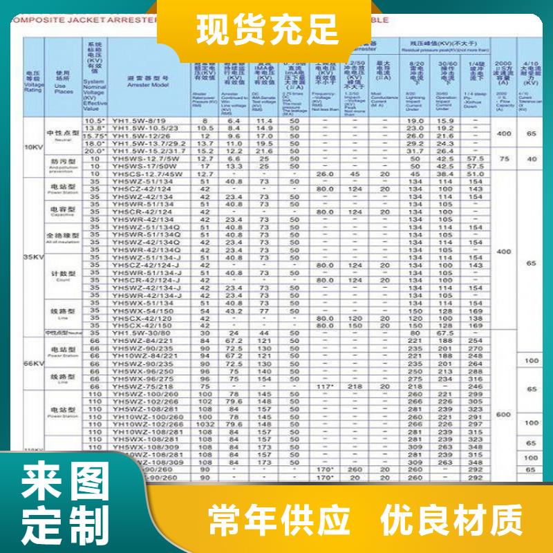 避雷器YH10CX5-102/266，放電計數器