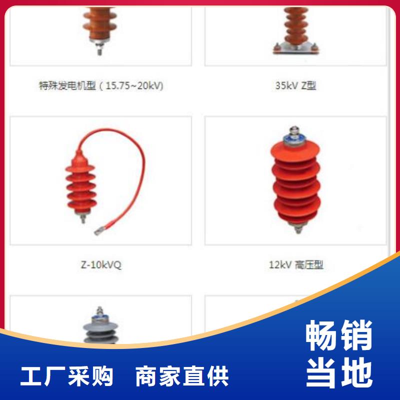 _復合絕緣氧化鋅避雷器HY10WZ-51/134GY【羿振電力設備】