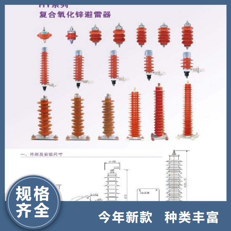 氧化鋅避雷器Y5W5-228/593實體廠家