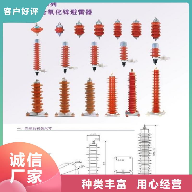 避雷器YH5WX5-15/45.6上海羿振電力設備有限公司