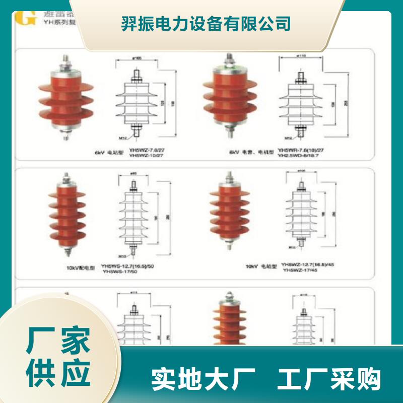瓷外套金属氧化物避雷器Y10W-200/496浙江羿振电气有限公司