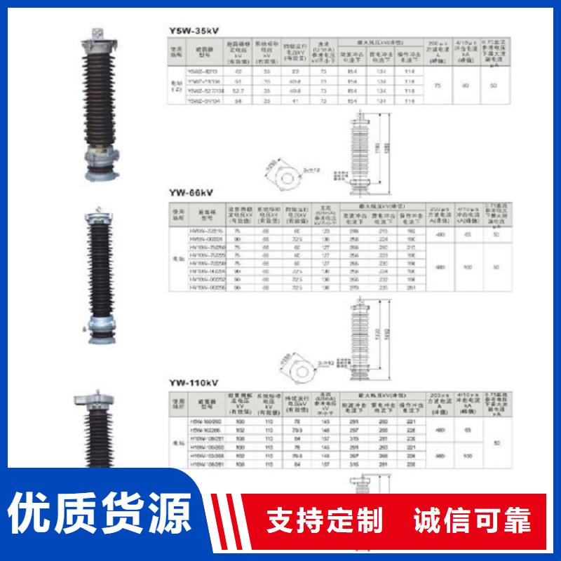 金属氧化物避雷器Y10W-102/266浙江羿振电气有限公司
