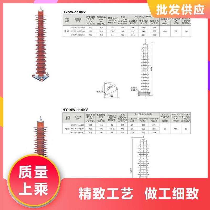 瓷外套金属氧化物避雷器Y10W-200/496浙江羿振电气有限公司