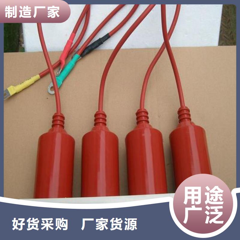 過電壓保護器(組合式避雷器)BWKP-B-7.6/131J