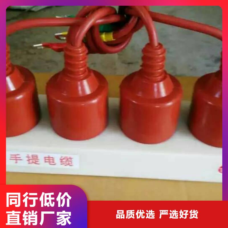 【避雷器/過電壓保護器】YH5WZ-10/27*2