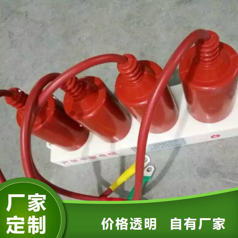 保護(hù)器(組合式避雷器)TBP-W-B/35-T過電壓保護(hù)器