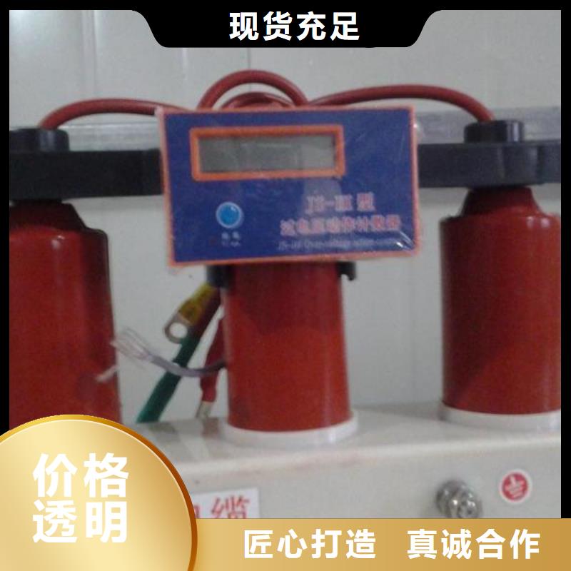 保護(hù)器(組合式避雷器)TBP-Y-C/35-T組合過電壓保護(hù)器