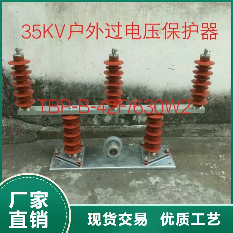 〖過電壓保護(hù)器〗TBP-A-7.6-F/120品質(zhì)放心