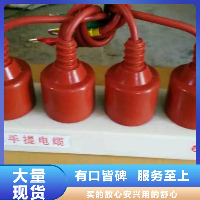 TBP-C-12.7F/131過電壓保護(hù)器生產(chǎn)廠家