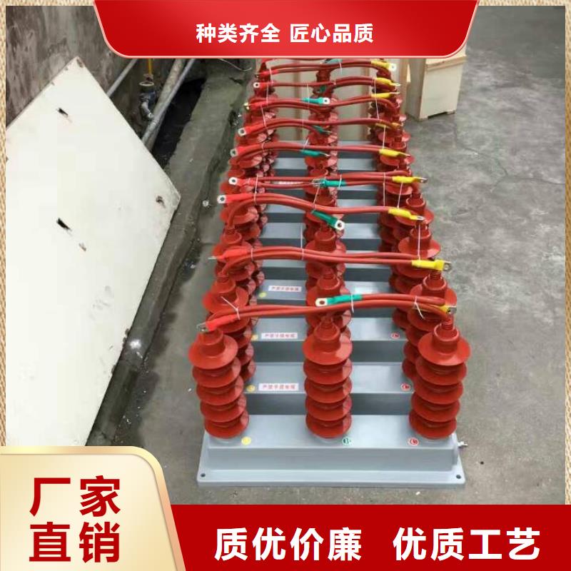 保護器(組合式避雷器)TBP-Y-C/35-F組合過電壓保護器