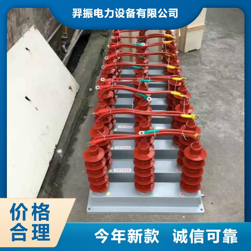 保護(hù)器(組合式避雷器)TBP-Y-C/35-T組合過電壓保護(hù)器