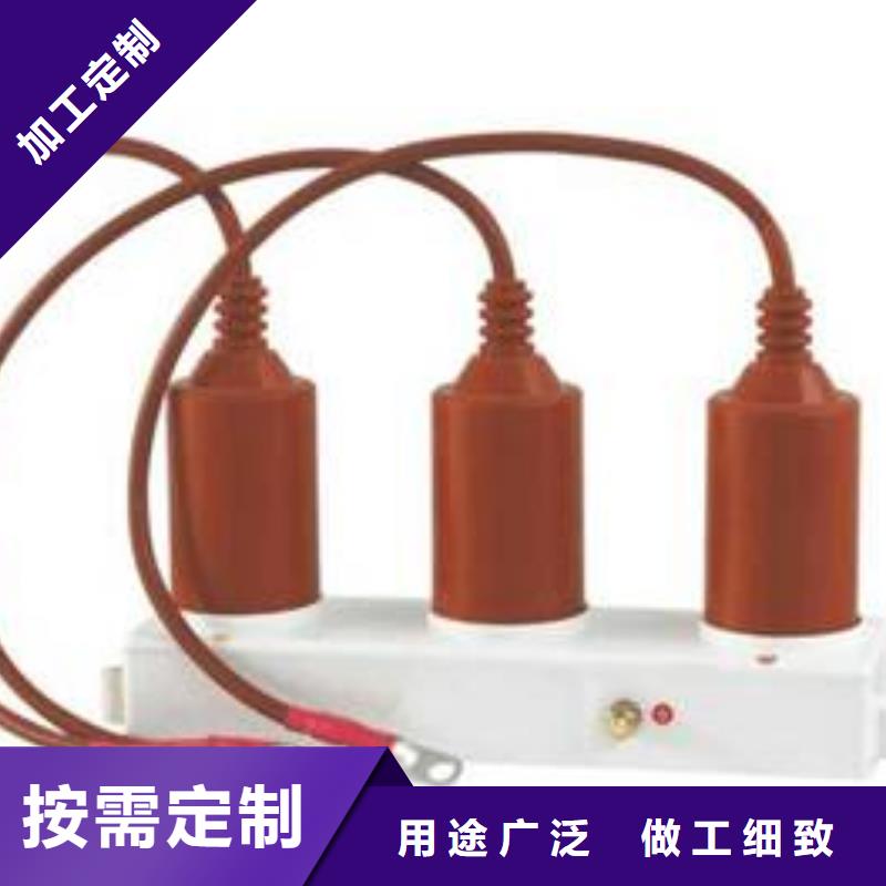 保護器(組合式避雷器)TBP-B-42F/400W1