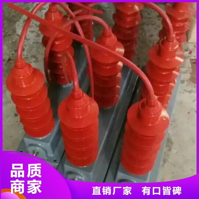 【避雷器/過電壓保護器】YH5WZ-10/27*2