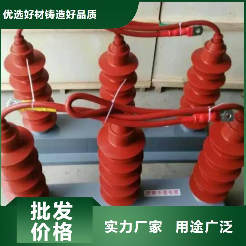 保護(hù)器(組合式避雷器)TBP-Y-C/35-T組合過電壓保護(hù)器