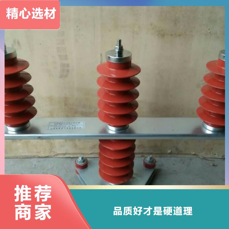 保護器(組合式避雷器)TBP-W-O/10-T組合過電壓保護器