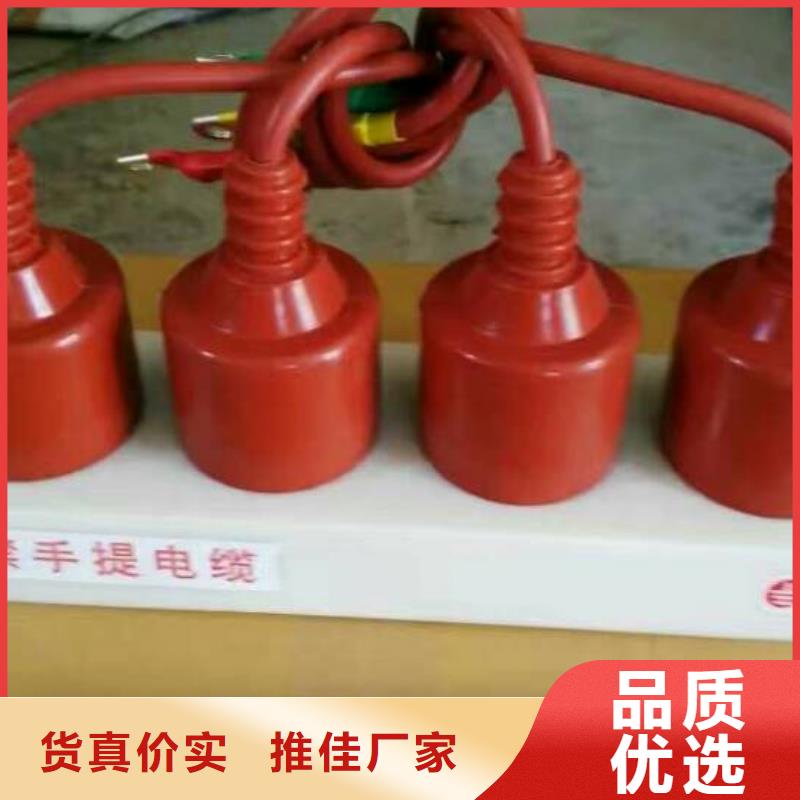 過電壓保護器(組合式避雷器)TBP-A-7.6F/131