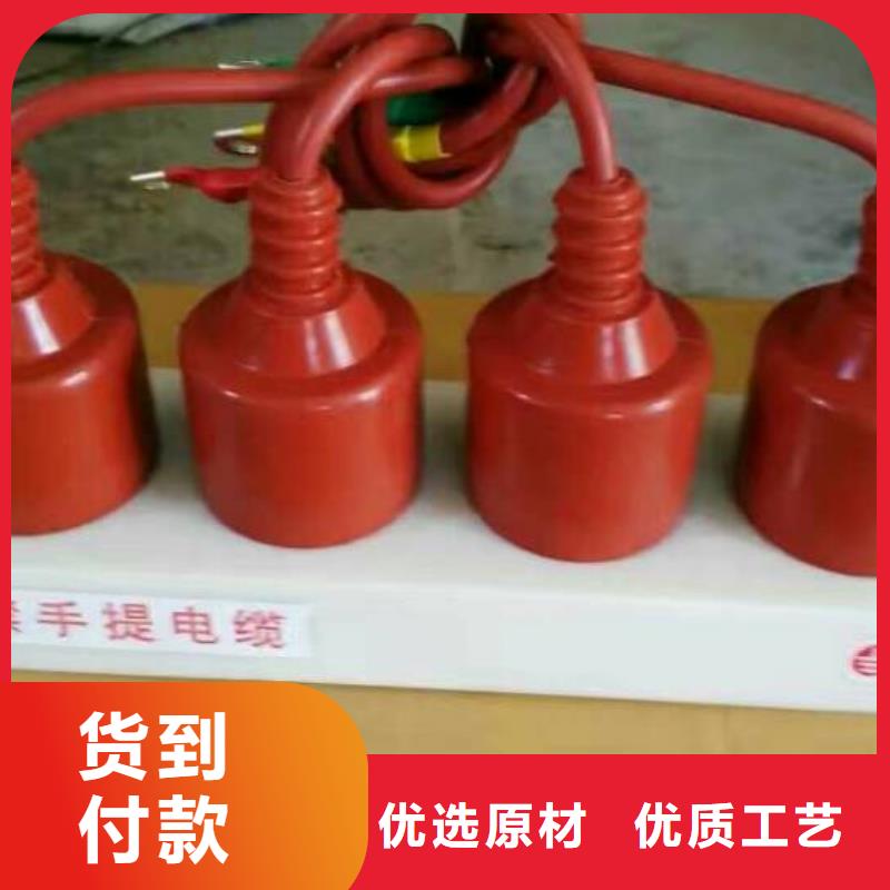 保護器(組合式避雷器)HBP-R-42/110