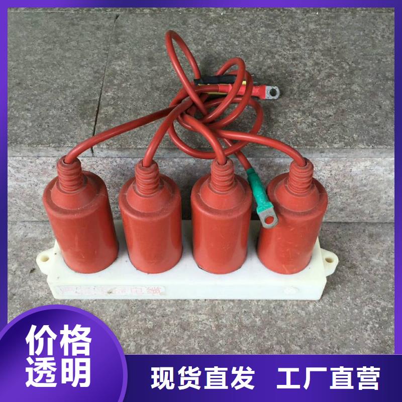 TBP-C-12.7F/131過電壓保護(hù)器生產(chǎn)廠家