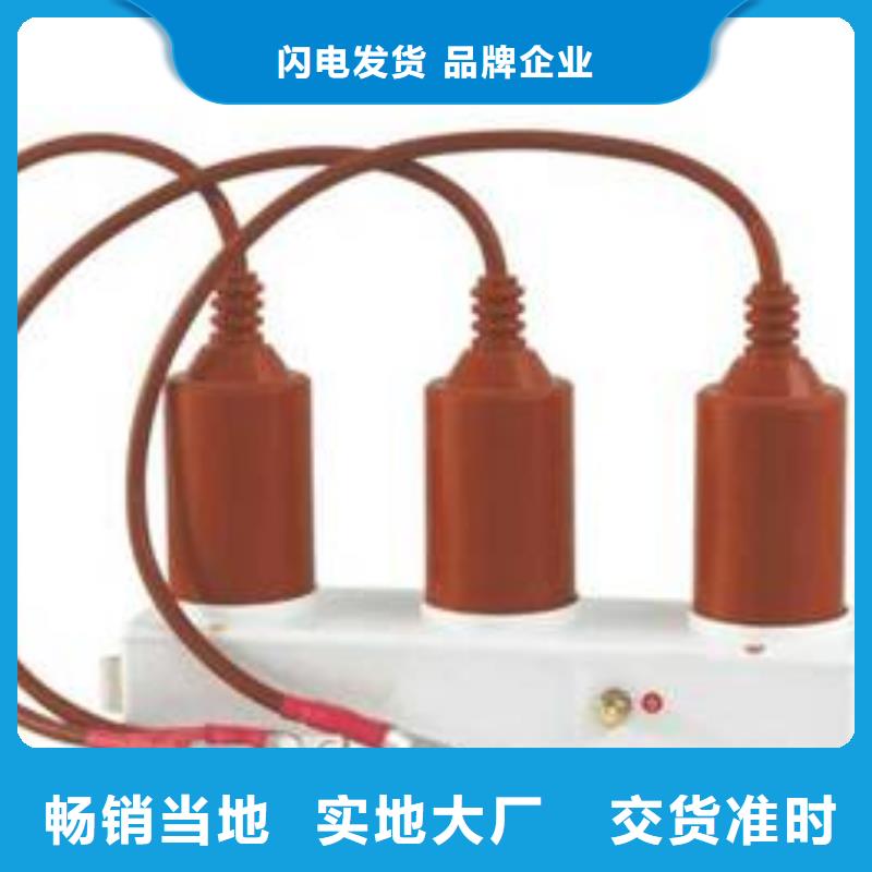 保護(hù)器(組合式避雷器)HBP-B-42/W