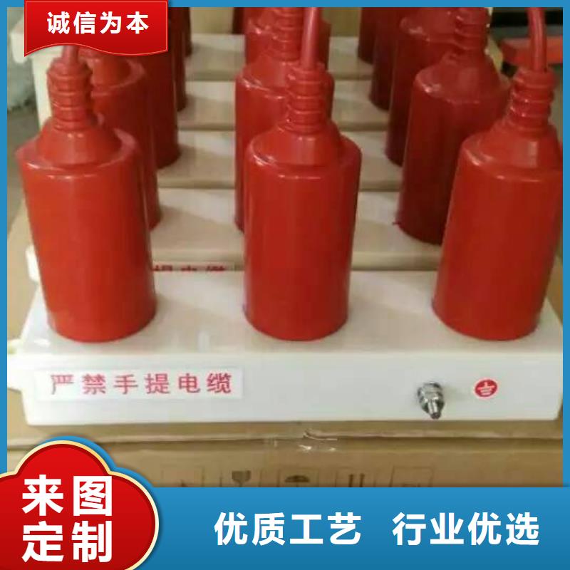 保護(hù)器(組合式避雷器)TBP-W-B/35-T過電壓保護(hù)器