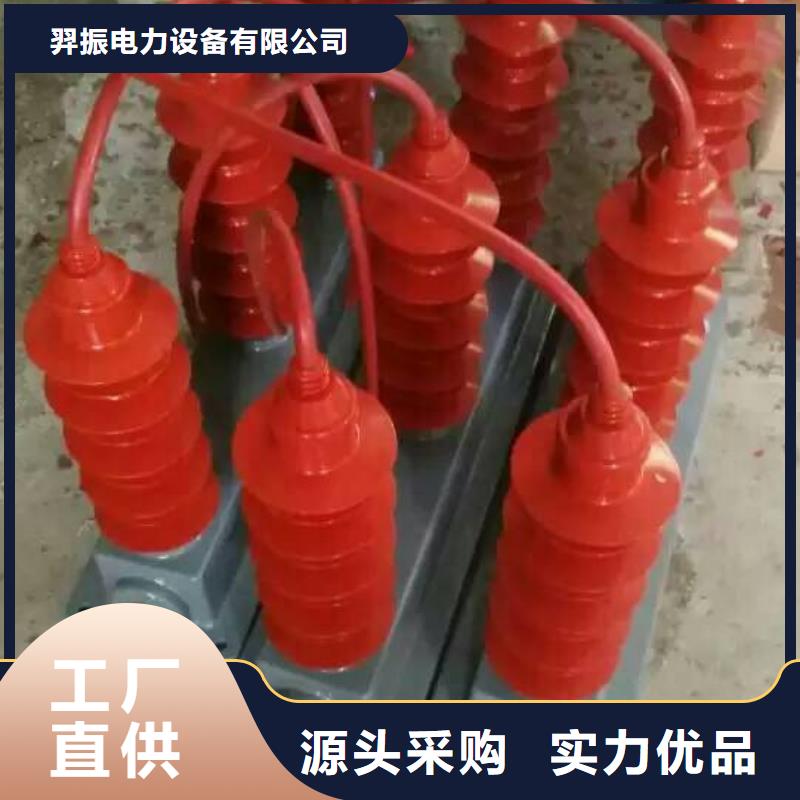 〖過(guò)電壓保護(hù)器〗TBP-C/10-F組合過(guò)電壓保護(hù)器詢問(wèn)報(bào)價(jià)