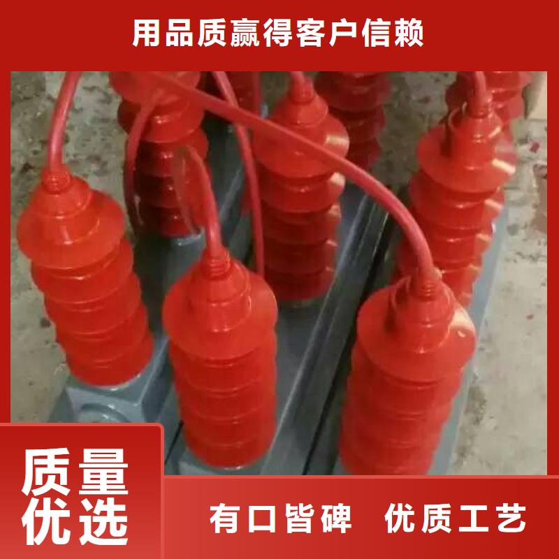 【羿振電氣】過電壓保護器TBP-A-6.3/131