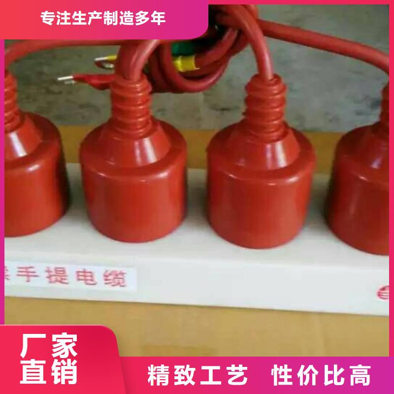 保護(hù)器(組合式避雷器)TBP-Y-B/6-F組合過(guò)電壓保護(hù)器