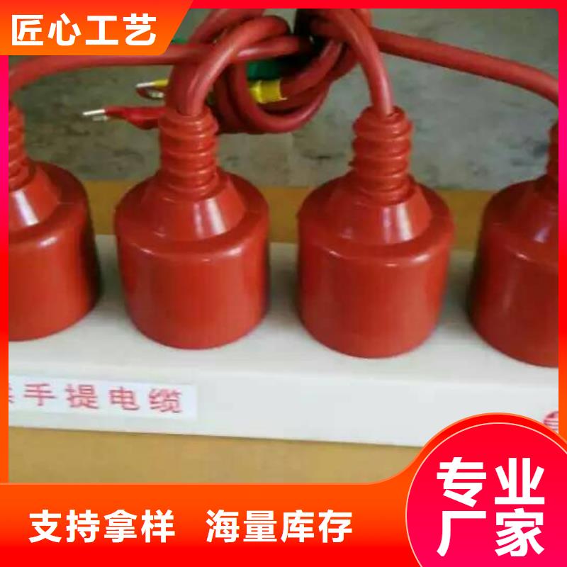 過電壓保護器(組合式避雷器)BWKP-B-7.6/131J