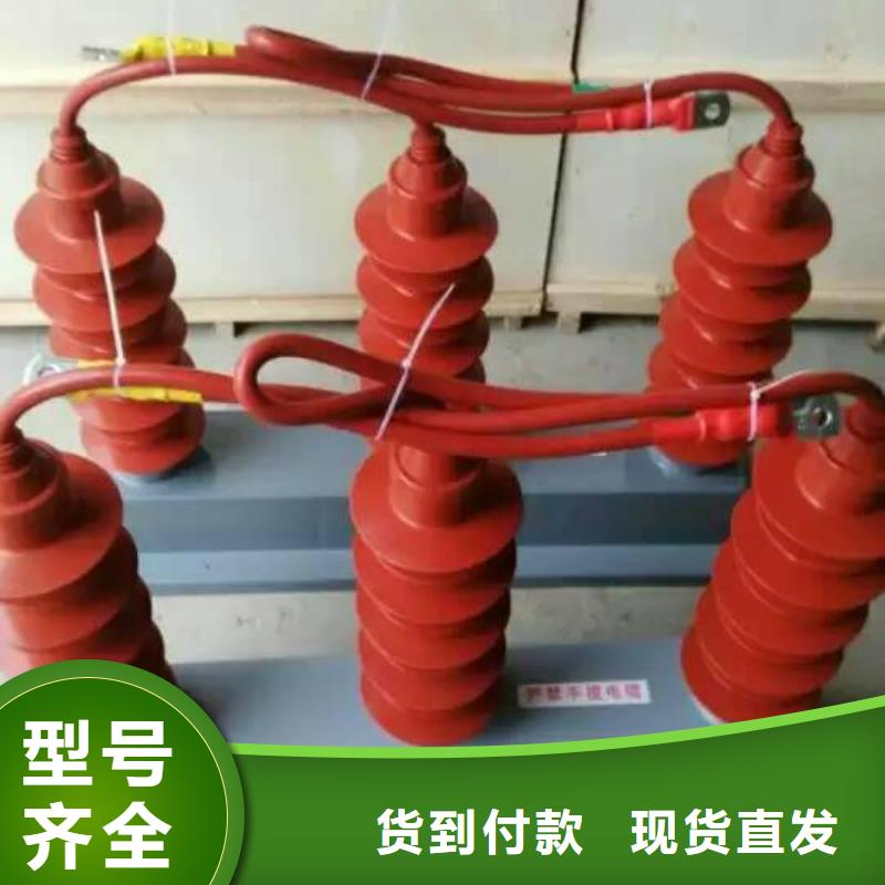 保護(hù)器(組合式避雷器)TBP-C-42F/280