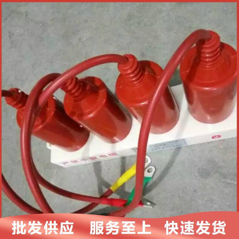 保護器(組合式避雷器)TBP-W-C/6-T組合過電壓保護器