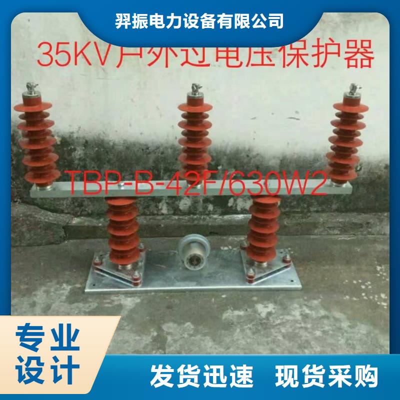 過電壓保護器(組合式避雷器)TBP-A-6.3/F