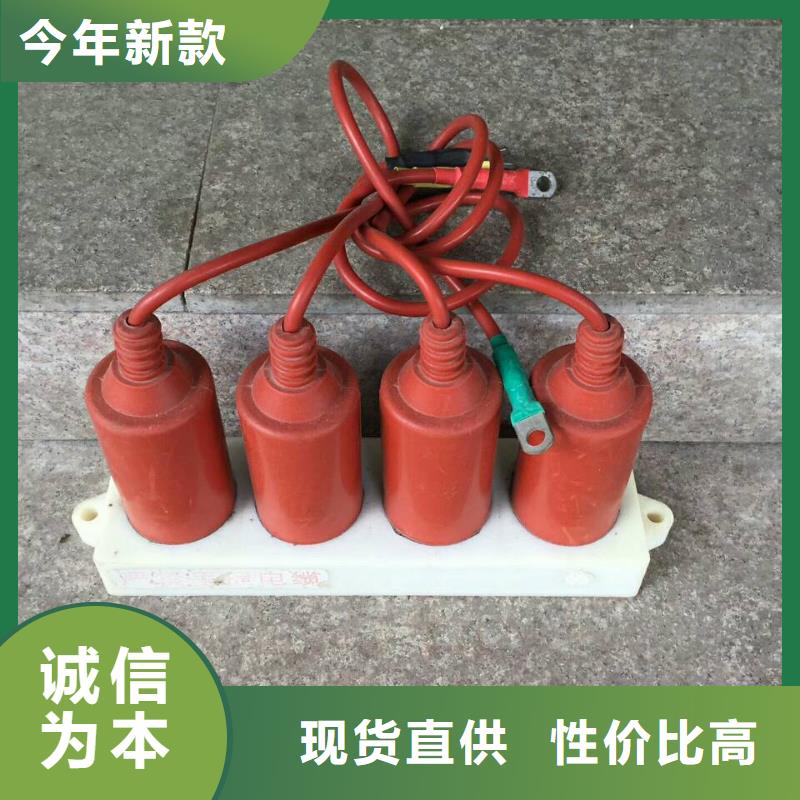 保護(hù)器(組合式避雷器)SYB-C-42/400W1