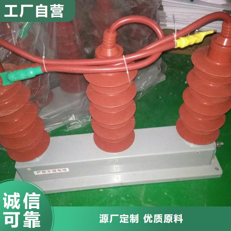 過電壓保護器(組合式避雷器)TBP-C-42F/310