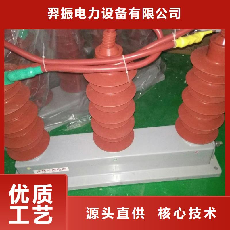 保護(hù)器(組合式避雷器)TBP-Y-B/6-F組合過(guò)電壓保護(hù)器