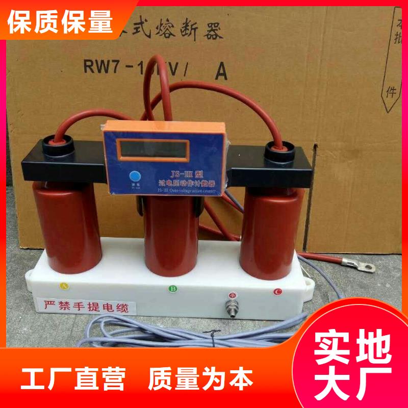 保護器(組合式避雷器)HBP-R-42/110