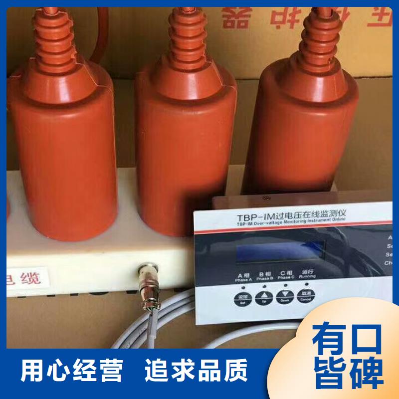 【羿振電氣】過電壓保護器TBP-A-6.3/131