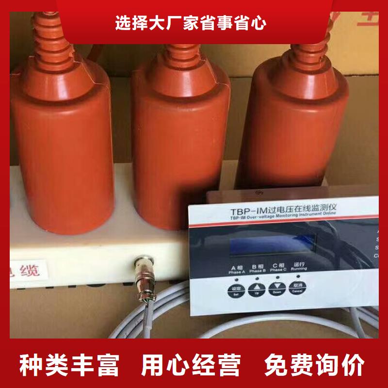 【羿振电气】过电压保护器TBP-B-12.7/85-J
