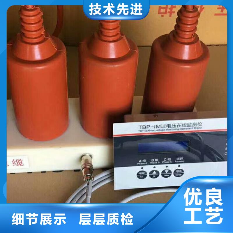 〖過電壓保護(hù)器〗TBP-C/10-F組合過電壓保護(hù)器詢問報價