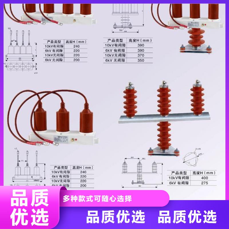 保護器(組合式避雷器)TBP-W-A/10-F組合過電壓保護器