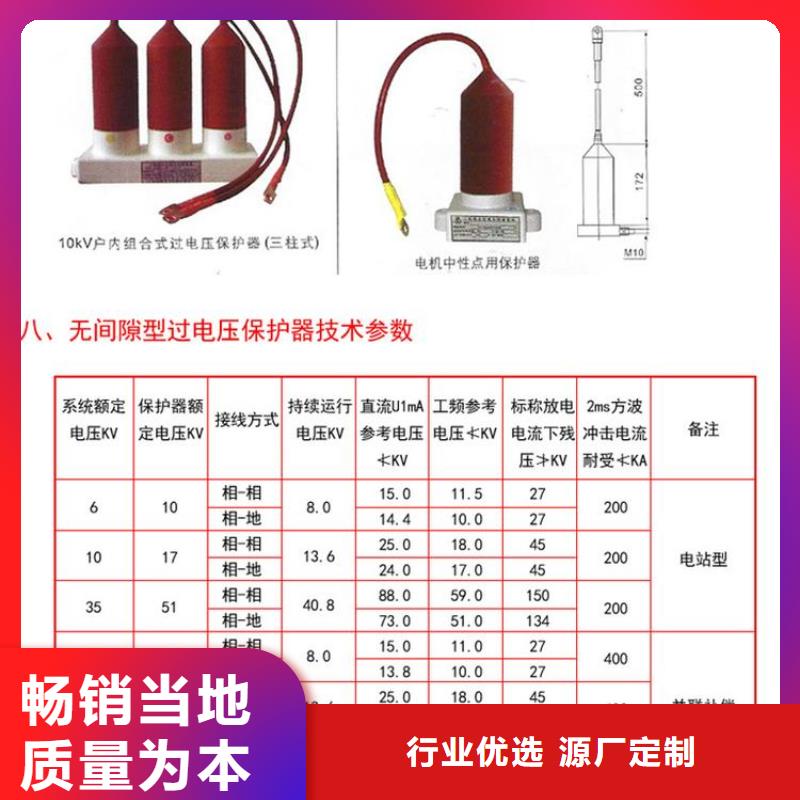 保護(hù)器(組合式避雷器)TBP-C-42/310