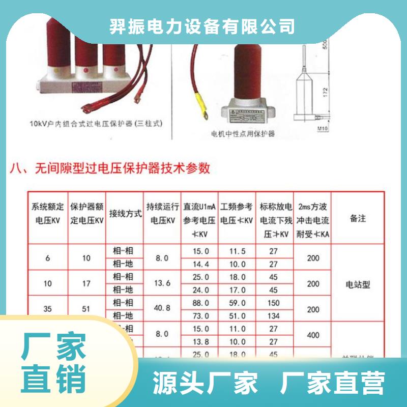 保護(hù)器(組合式避雷器)TBP-Y-C/35-T組合過電壓保護(hù)器